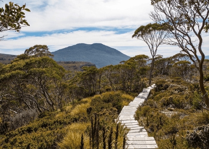 Tasmanian Wilderness World Heritage Area